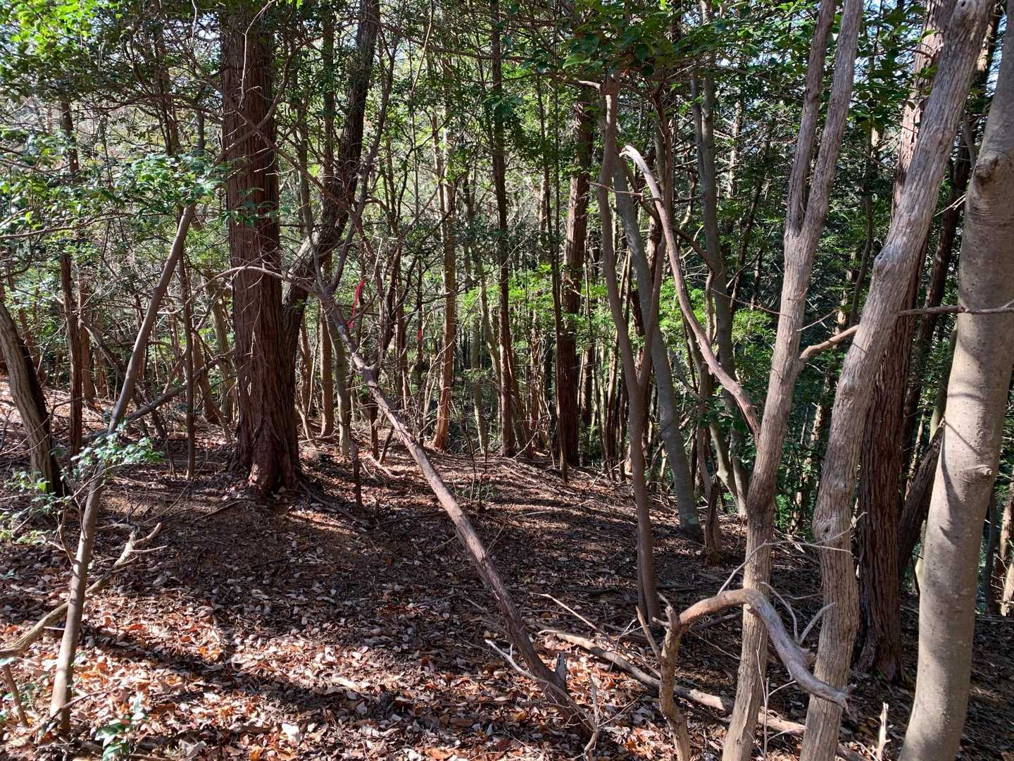 坂を降って行きます。