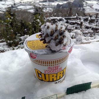 お楽しみのカレー麺。
