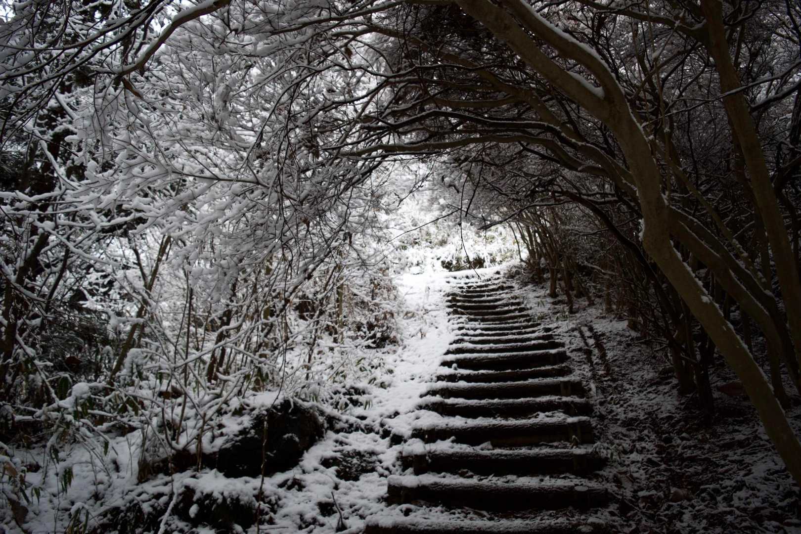 トンネル〜