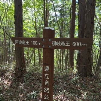讃岐竜王へ👉