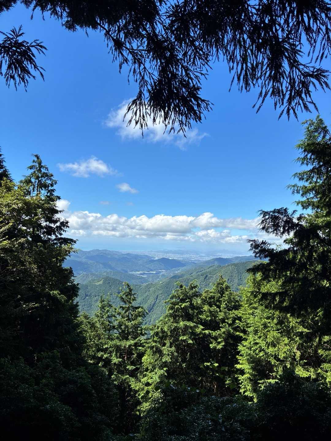 御在所山 往復コースの写真