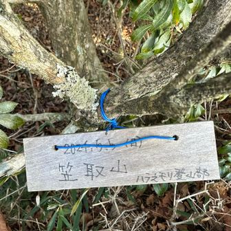 着いたっぽいけど、YAMAPのピークはここじゃないらしい👀