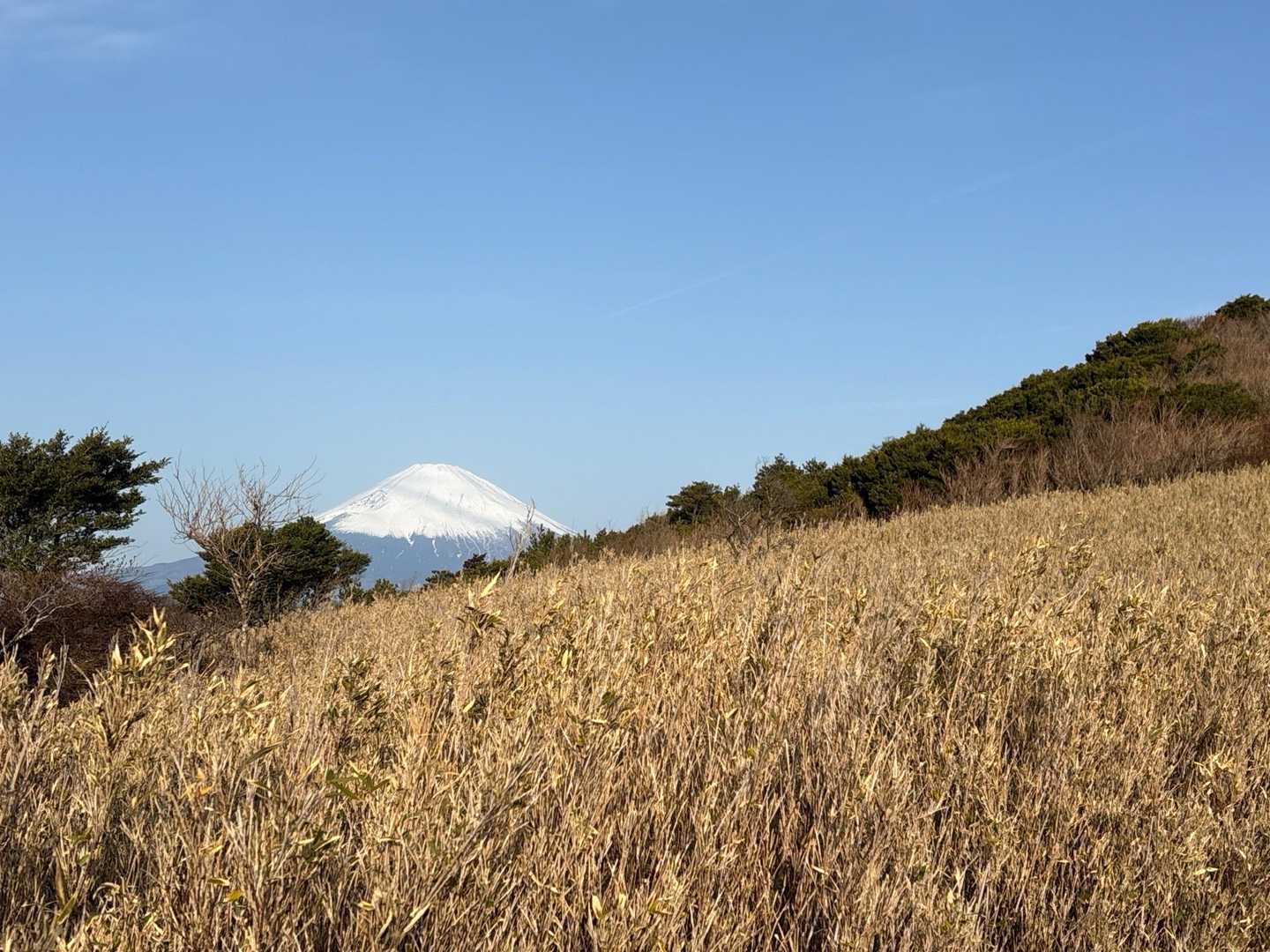お，富士山見えた!