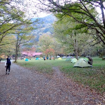 徳澤園