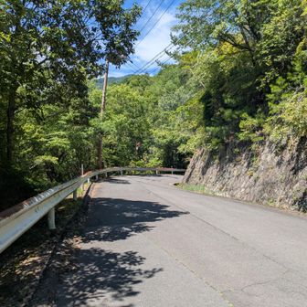 ここからゴールまで車道歩き
途中から車1台分の幅に減るので要注意⚠️
サイクリングも多いです🚲️