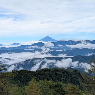 小雲取山から富士山を望んで。雲海が寄せるさざなみのようでほんとに綺麗だった。
