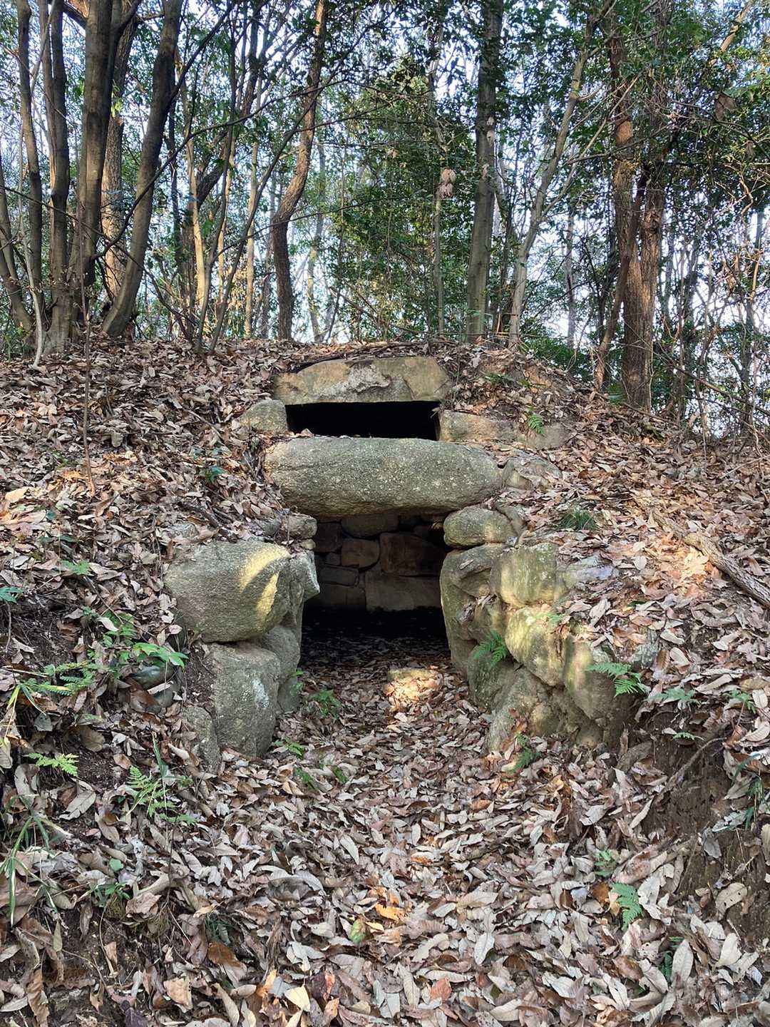 緑山は古墳が4基確認できました。
現代の墓地もあったので暗くなる前に登れて良かった💦