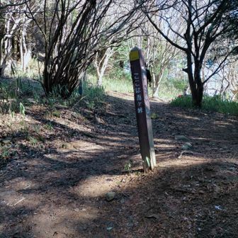 ひなたでランチタイム。
そういや、脚にきてる、なんて話してたかな。
キャッスルウォールを見に寄り道したのが響いた？