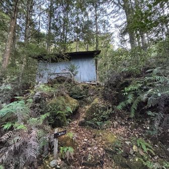 直登。ここの小屋ってなんだか絵になりますね。