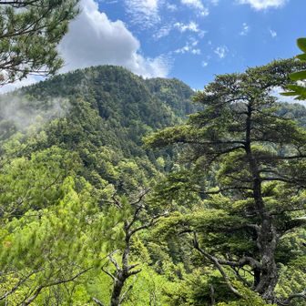 登って来た御座山
