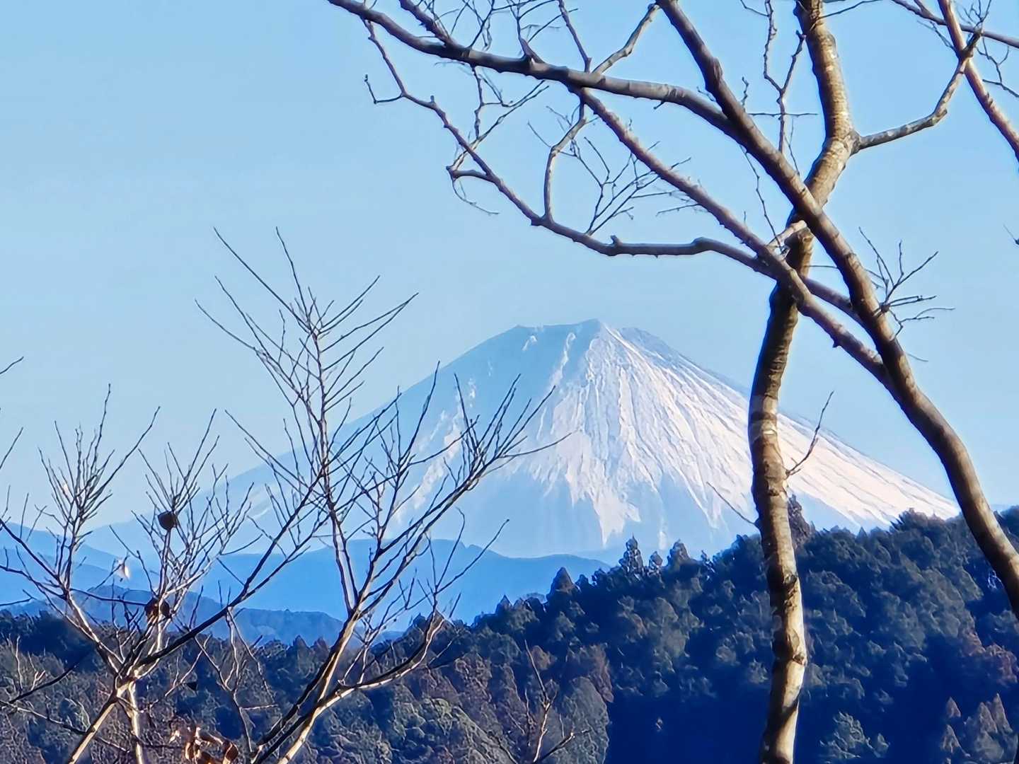 ホンマや～
来てよかった⤴