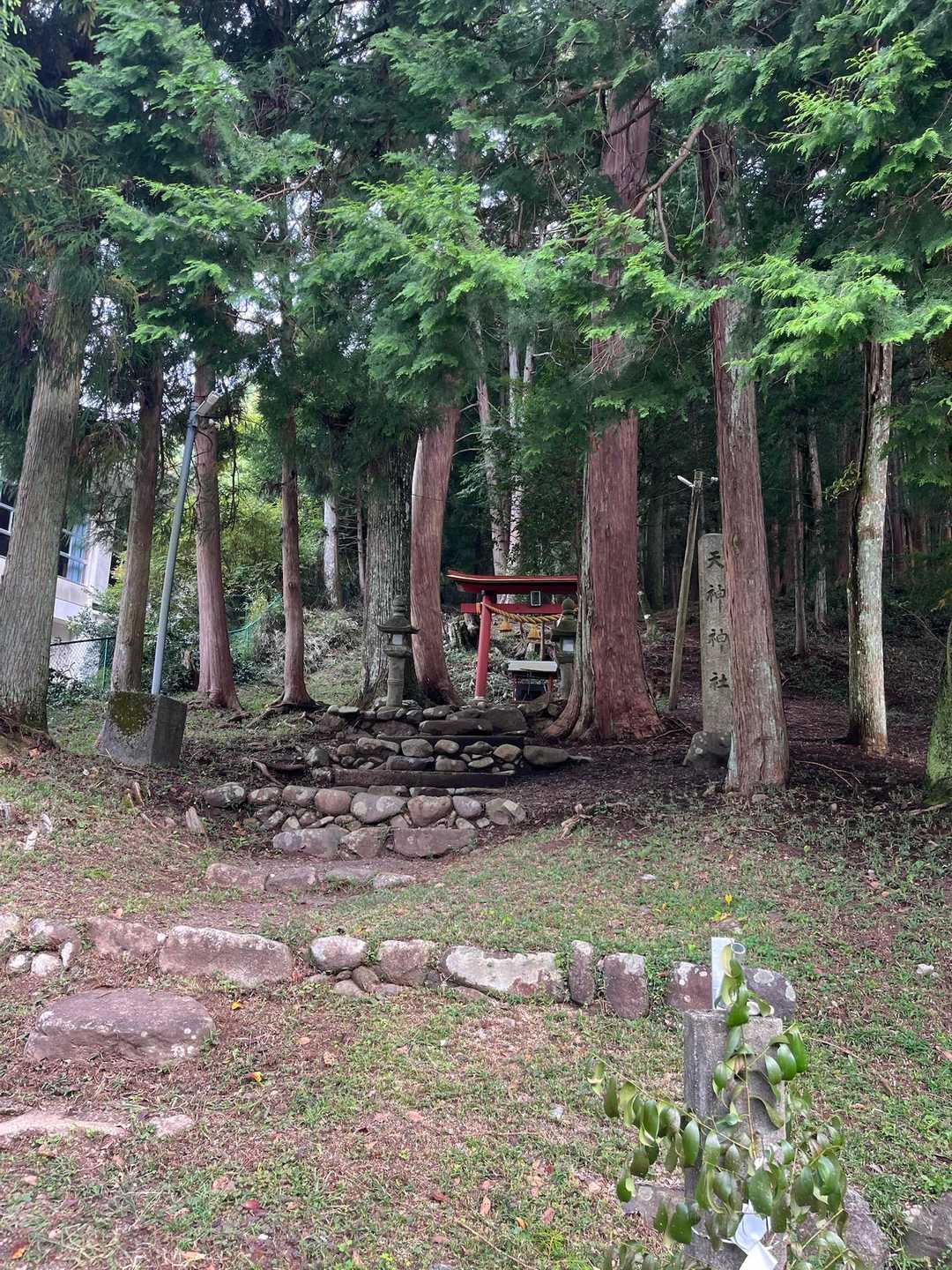 山の中に鳥居⛩️