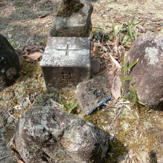 安妃山のプレートってコレ？