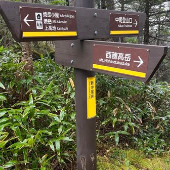 中尾登山口から来る人が何組か居ました