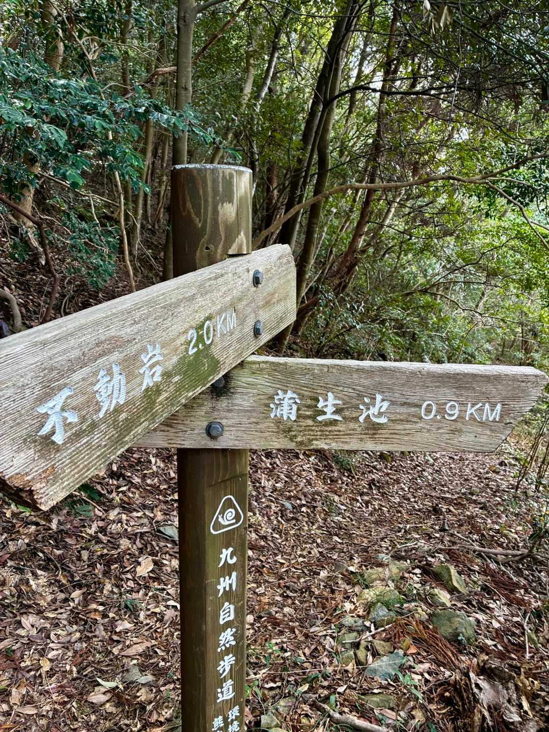 先に日岡山のピークを取って蒲生山へ

絶景ポイントでランチ後
不動岩まで行って周回で降りる計画です🎶

ちょこちょこ急登💦

メインの不動岩まで2キロもあるのか…
早くランチしたい🤤