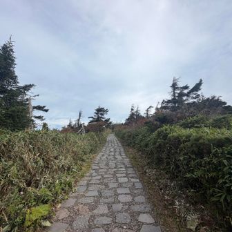 この時期初めてなので石畳なのを初めて知った
