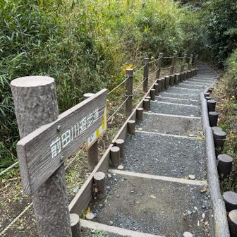 前田川遊歩道を行きます。