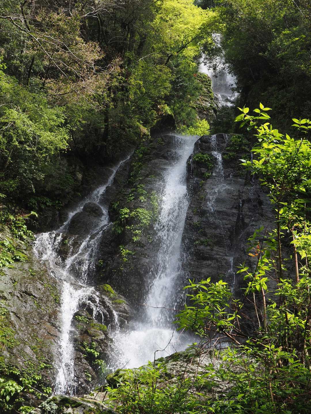 足山（たりやま）の滝
前日の雨の雨の影響で水量多め
岩が濡れて滑りやすく、滝下に行くのにドボンしそうになった😰