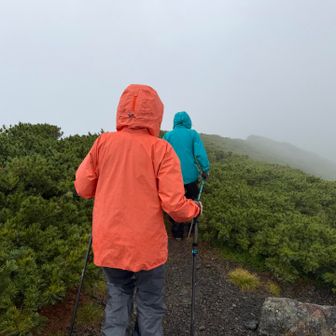 藪漕ぎしてもう一つの兎岳へ