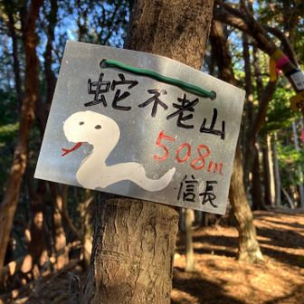 グレピに寄り道♬