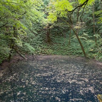 陽の光と青空が必要かな