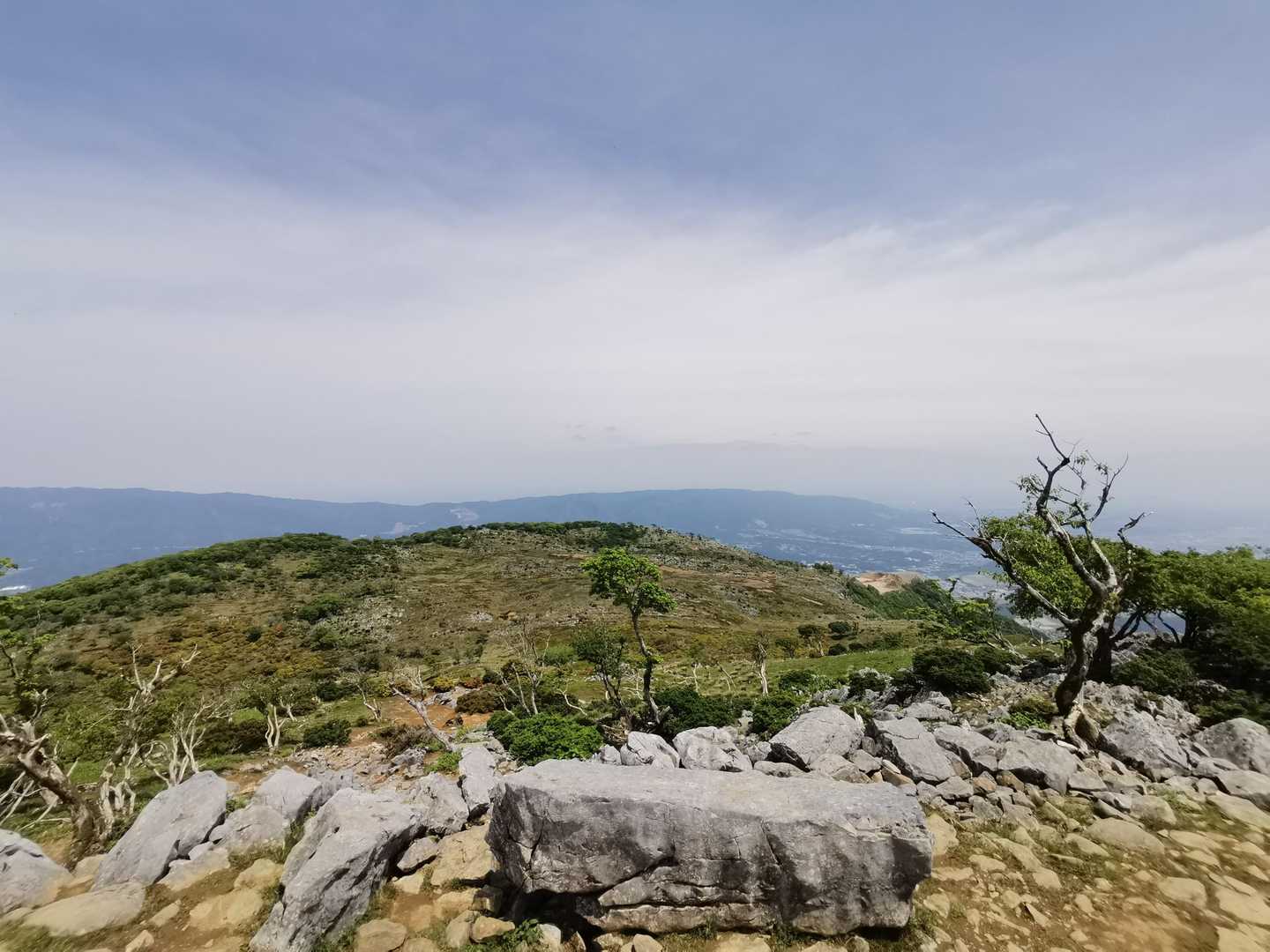 藤原岳登山口-藤原岳-天狗岩-頭陀ヶ平 往復コースの写真
