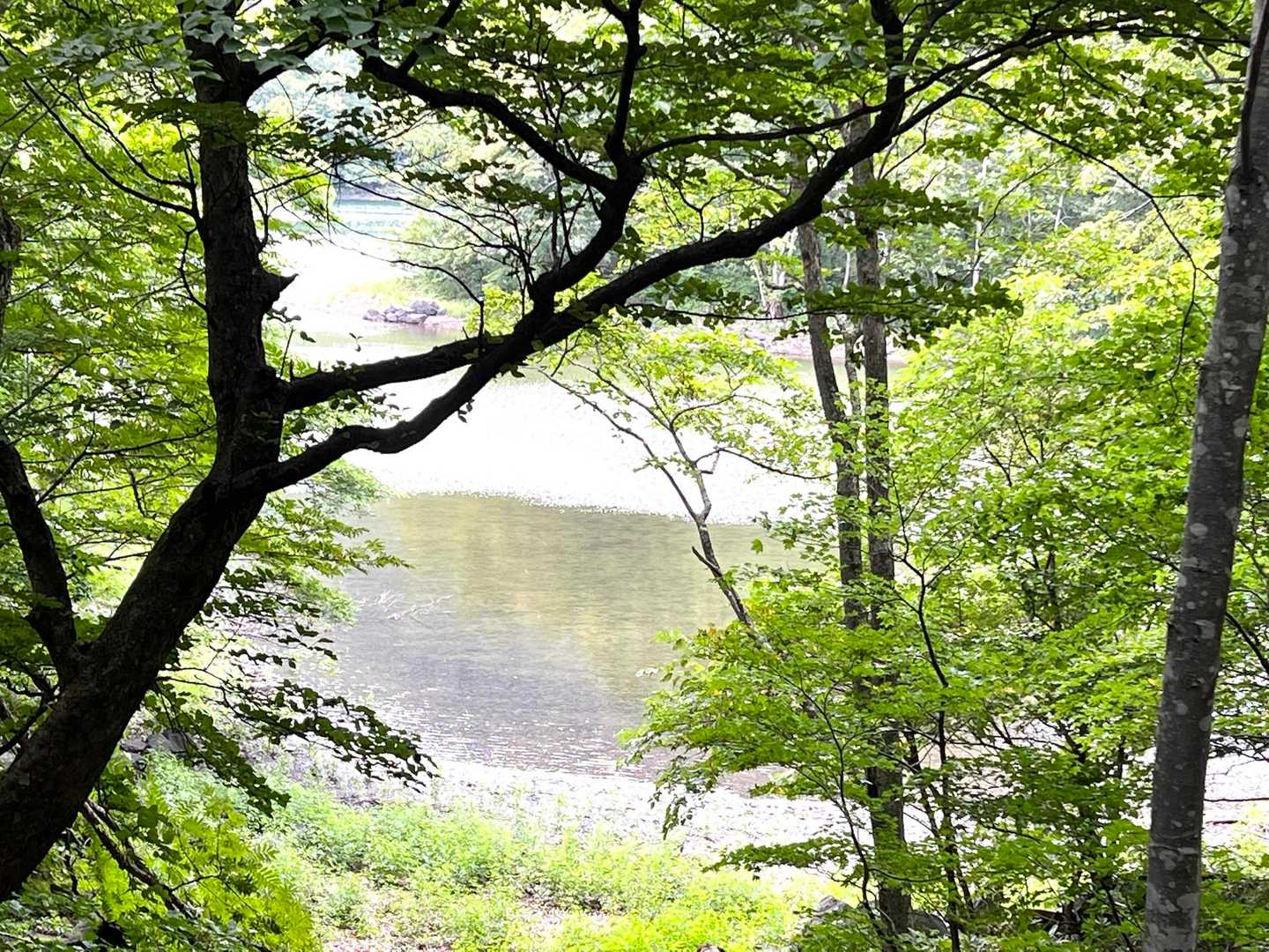 今回はマイペースに走ります🏃‍♂️
桑沼までようやく来ました😅
マイペースだからか、意外に息も切れてないし、足も残っている🦶✨