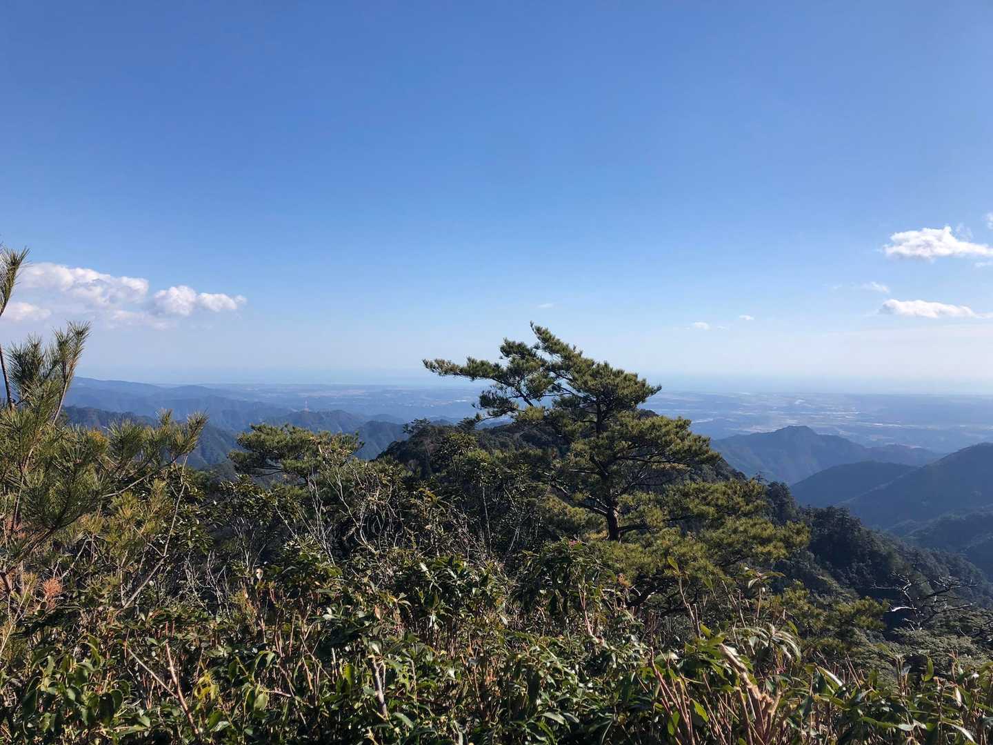 さぁ　ゆっくりし過ぎたので帰ります。