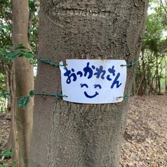 矢岳・城山 おつかれさん