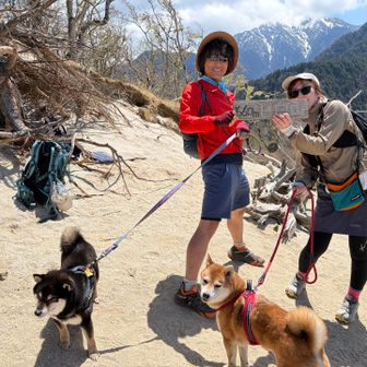 人様のワンコと一緒に✨✨🐕
山でワンちゃんと写真撮ったの初めて〜🤭
ステキな記念になりました、ありがとうございます♪