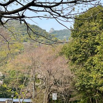岐阜日産前バス停から歩いて登山口へ
