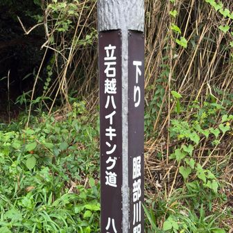 ここから降ります