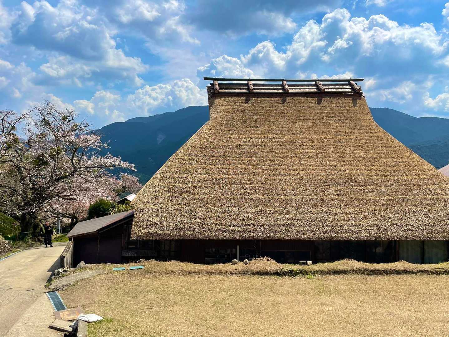 大洞山 往復コースの写真