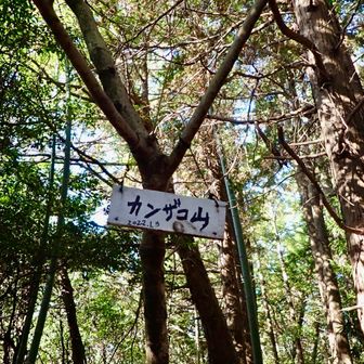 降った分だけ登って💦💦
🩶カンザコ山
眺望なし