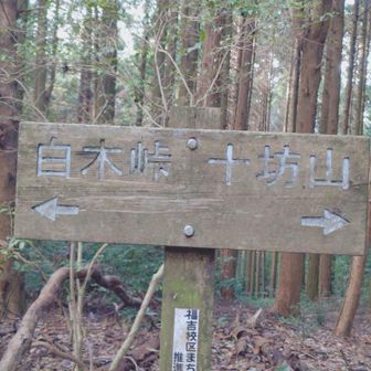 十坊山の⛰️山頂の景色ビミョーでしたが😅
浮嶽にむかってます白木峠までの下り激しいです😅