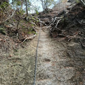 きれいな鎖ありました