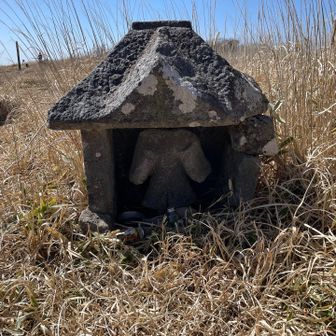 山頂に祠がありました