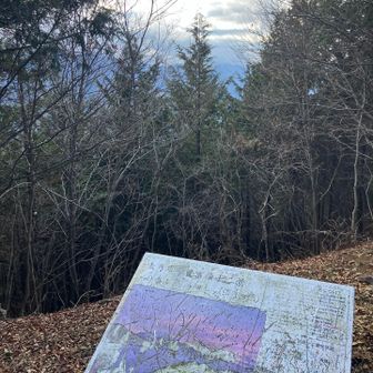 富士山、全然見えん😑