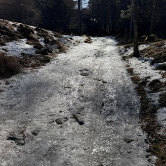 ここで転倒。まだこの時間だからとけていないが、昨日は11時を回っており見事にアイスバーンの上に水💦が流れでいる位、誰がみても危険な状態だった