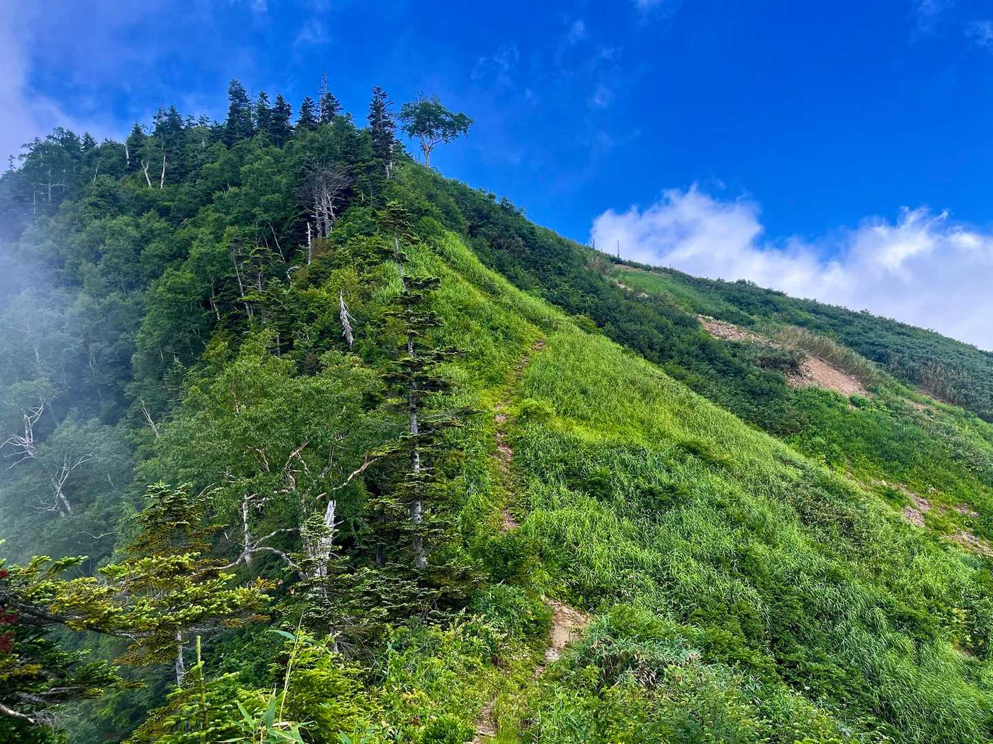 ムジナ平登山口-白嵓ノ頭-鳥甲山 往復コースの写真