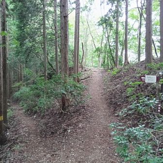 水が心許ないので沢に沿った林道を歩こうと思っていたけれど、通行止め…！