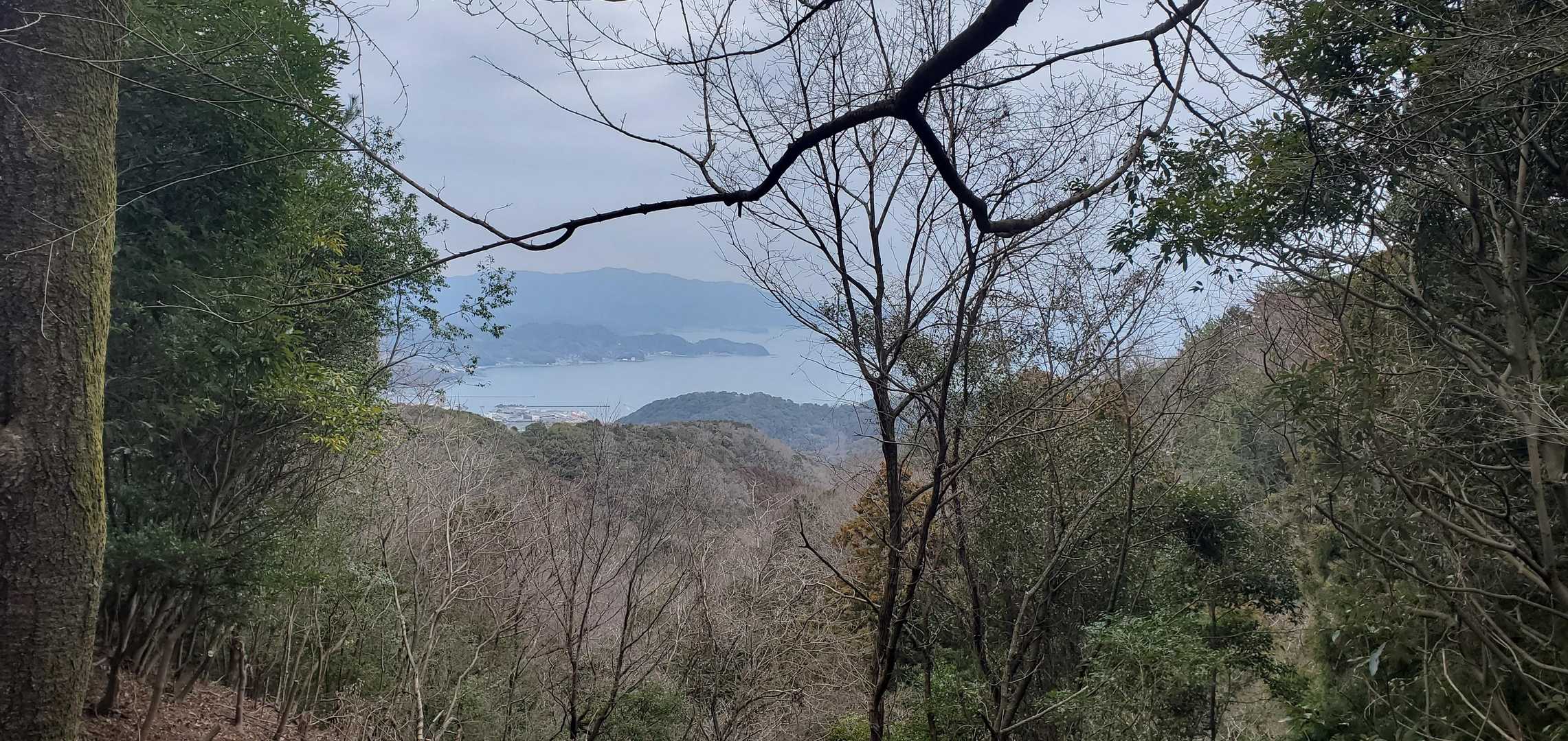 海が見えてきた👀