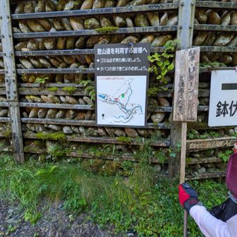 ここから登りました