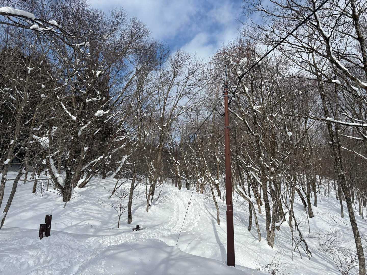 人形峠-大畝山 往復コースの写真