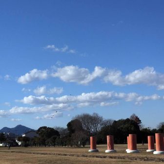 凧上げしてる人が多い