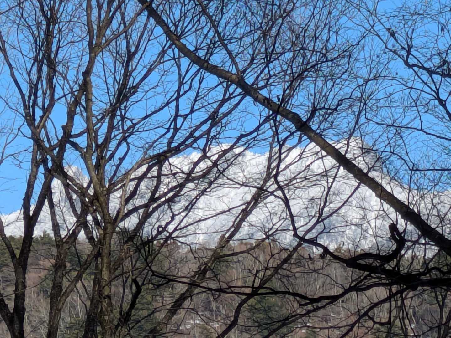 大普賢岳⁉️山頂から観たかったです‼️