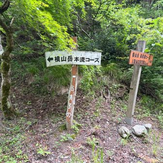 距離が短いのはうれしい（後で大変）
