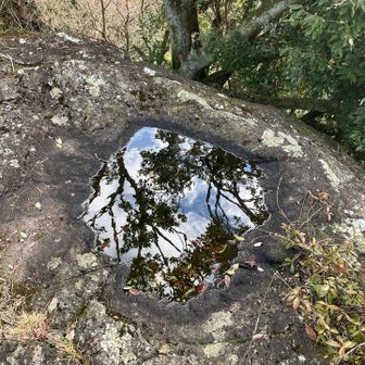 今日はちゃんと水が溜まってるのを見れました