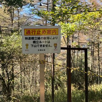 通行止め案内が有るが、このロープをくぐり下山
多くの人に確認した所、浦山口駅に下山出来るとの話を確認済。
以前このコースで下山した時は、崩落した場合で一度沢を石が置かれた所を踏み渡り、又同じく様に林道の方へ戻り帰った。