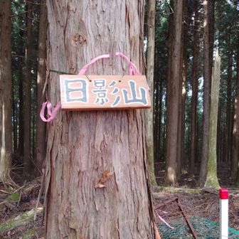 日影山

急登辛かった ^^;